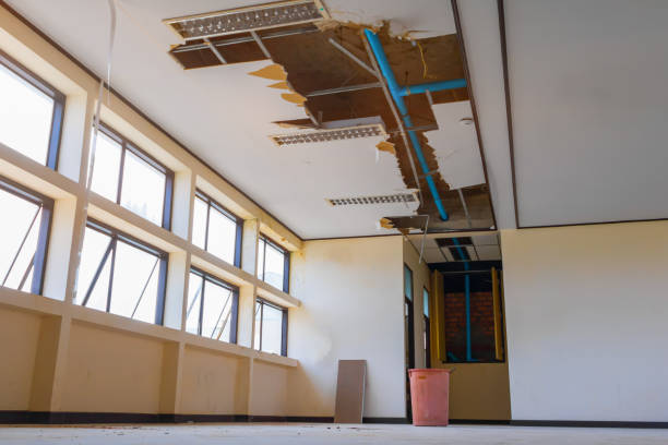  Mathews, LA Water damage restoration Pros