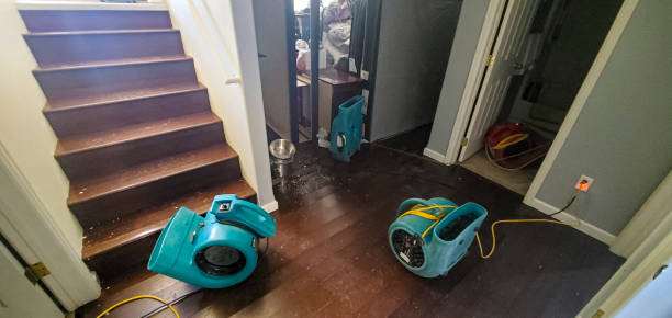 Best Fire Damage Restoration  in Mathews, LA