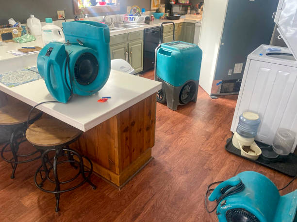 Best Sewage cleanup and water damage restoration  in Mathews, LA