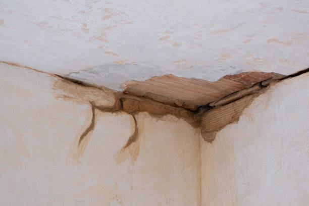 Best Water damage restoration near me  in Mathews, LA