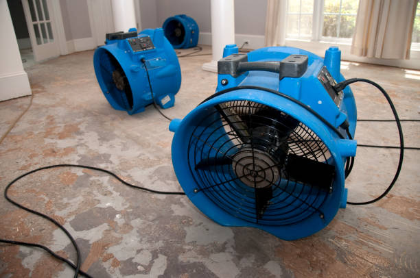 Best Emergency water extraction  in Mathews, LA