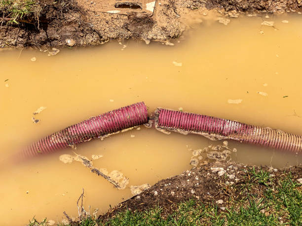 Best Local water damage restoration  in Mathews, LA